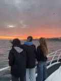 Luxury Yacht Bosphorus Sunset Cruise