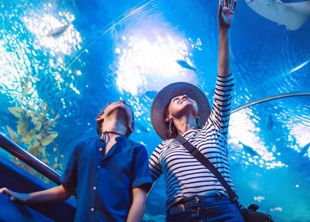 Emaar Aquarium and Underwater Zoo 免排队门票