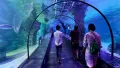ViaSea Aquarium belépőjegy