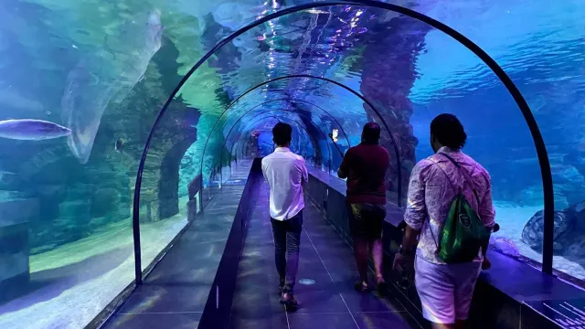 ViaSea Aquarium belépőjegy