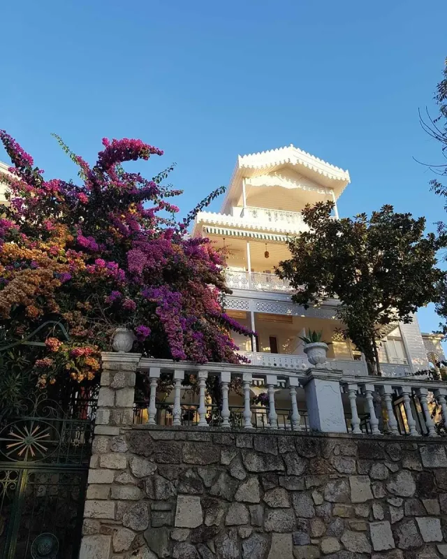 Excursion aux Princes’ Islands avec déjeuner