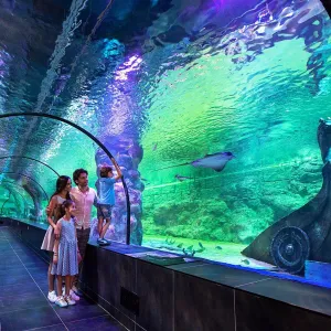 بلیط ورود به ViaSea Aquarium