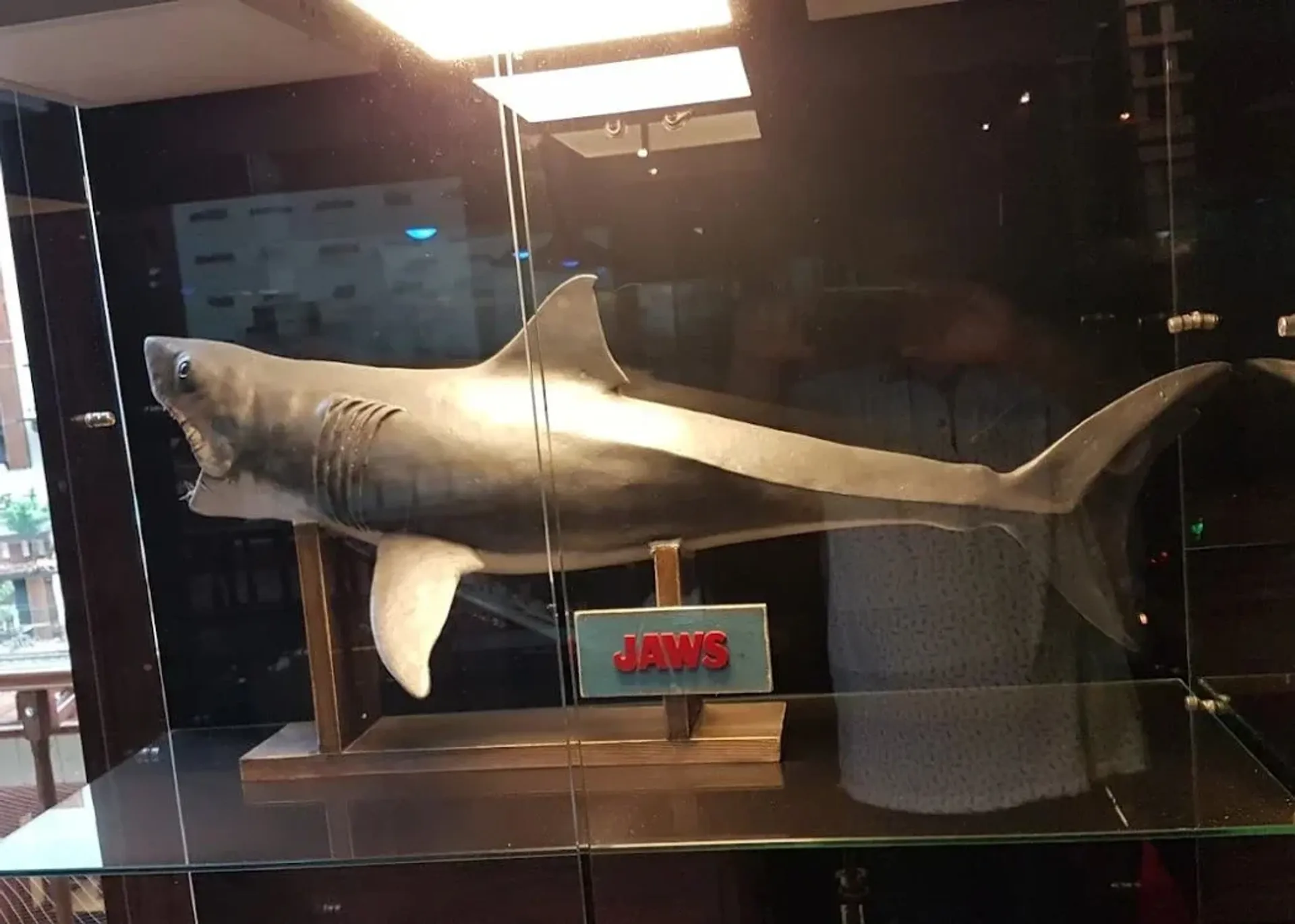 Biglietti d’ingresso al Balat Toy Museum