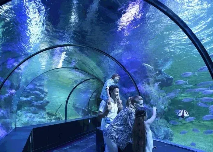 ViaSea Aquarium belépőjegy