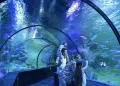 ViaSea Aquarium belépőjegy