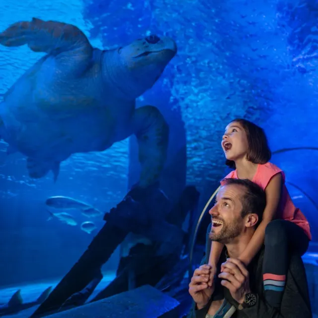 Billet d'entrée à l'Istanbul Aquarium