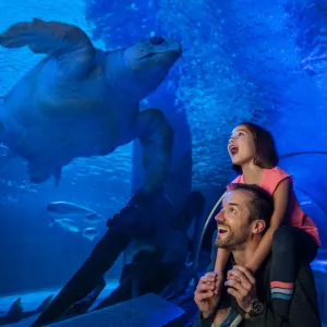 بلیط ورودی Istanbul Aquarium