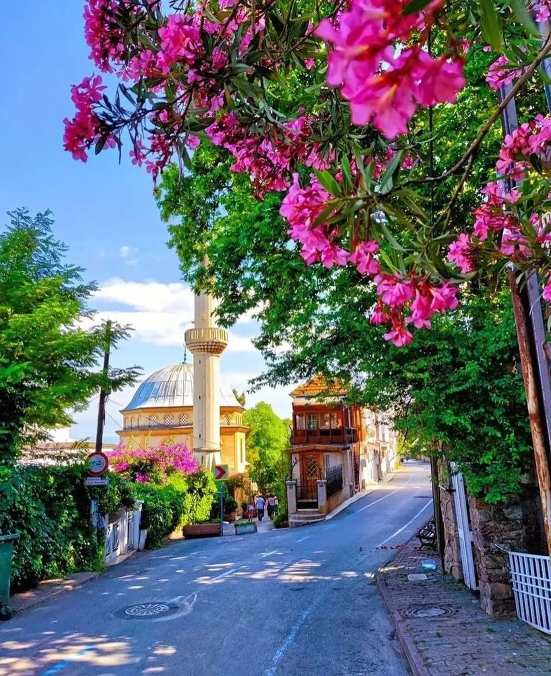 Burgazada Island Walking Tour with Audio Guide