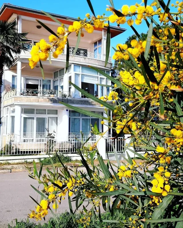 Buyukada Island Roundtrip Boat Ticket with Audio Guide