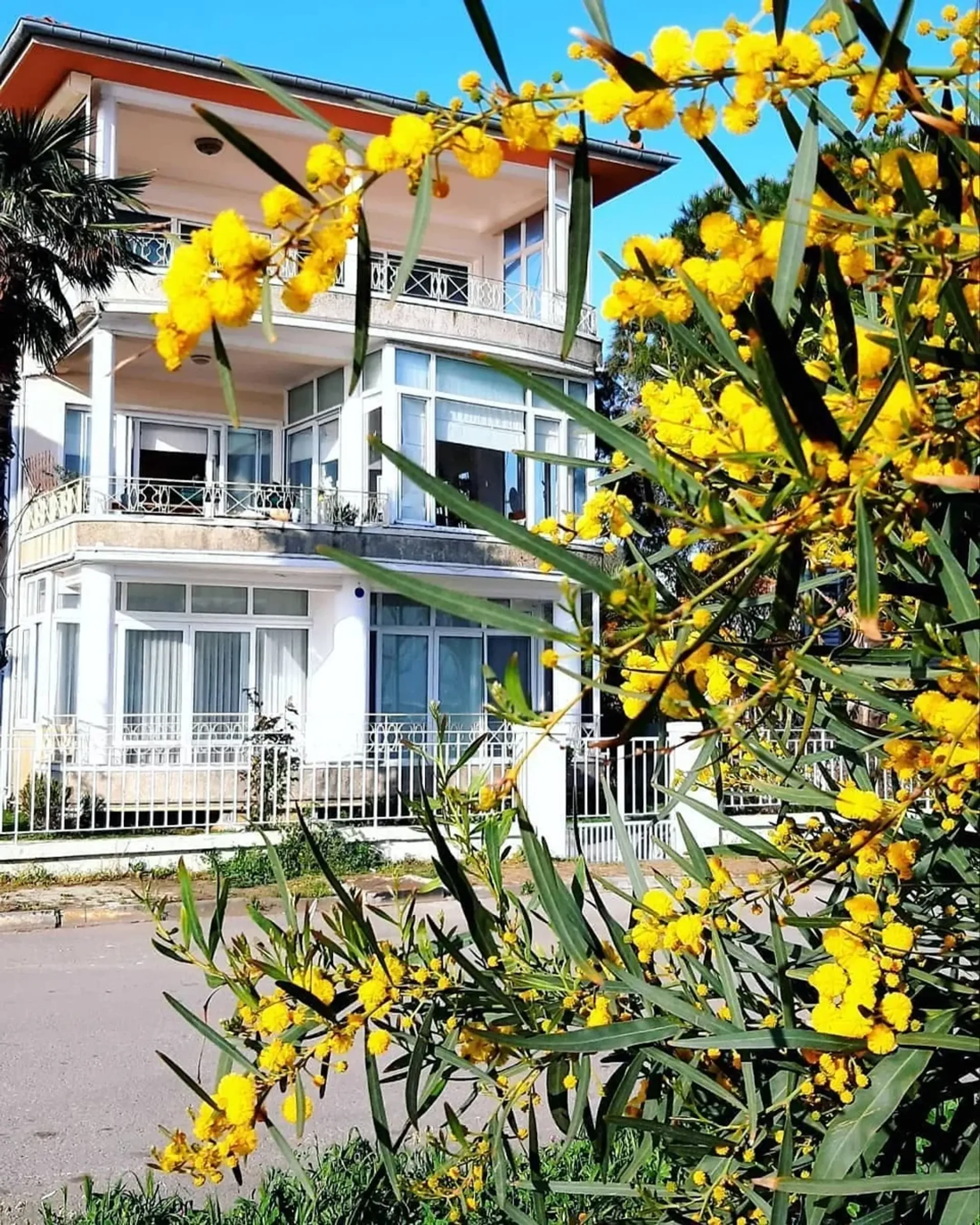 Buyukada Island Roundtrip Boat Ticket with Audio Guide