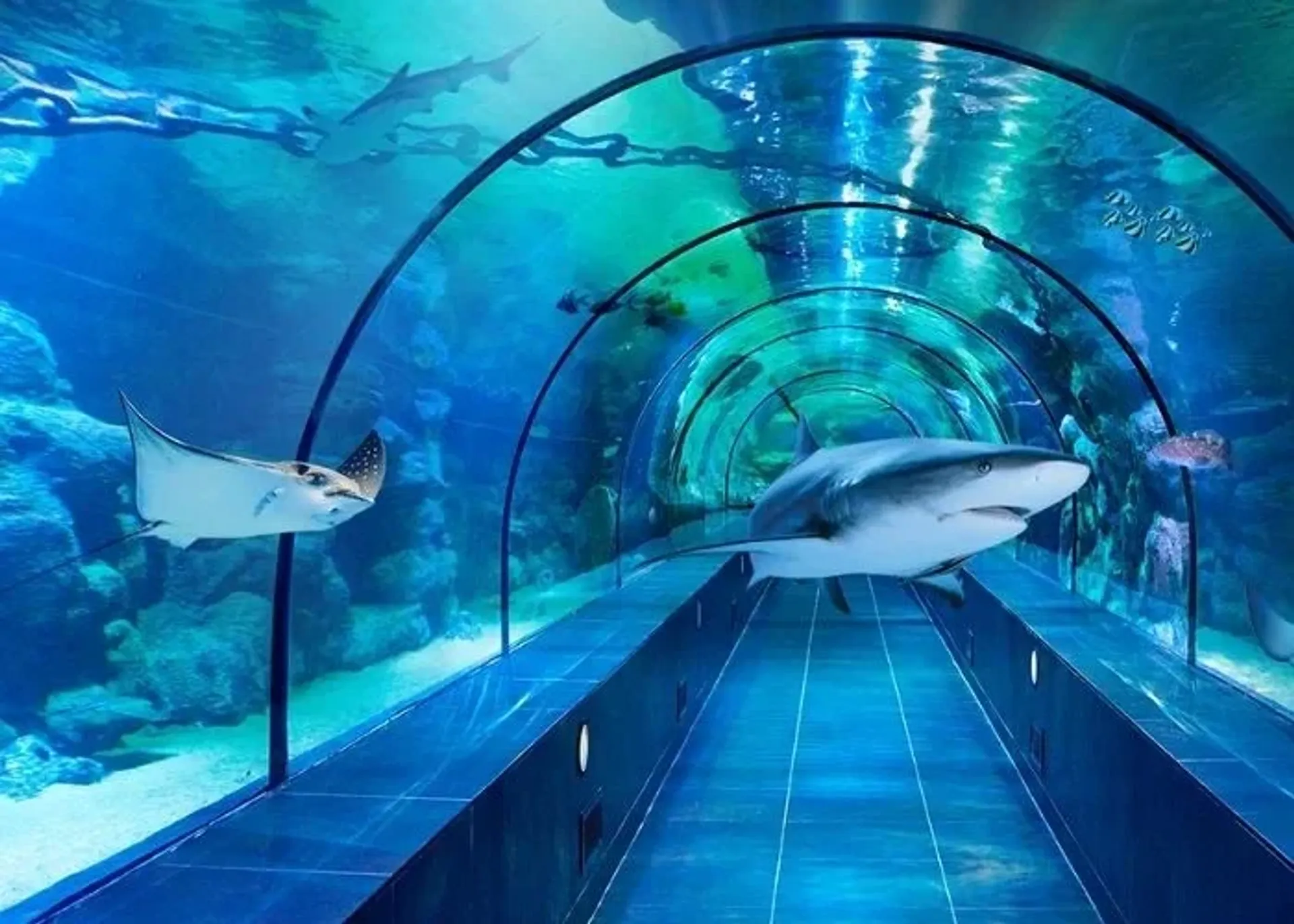 ViaSea Aquarium belépőjegy