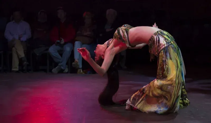 Billet pour le spectacle Rhythm of the Dance