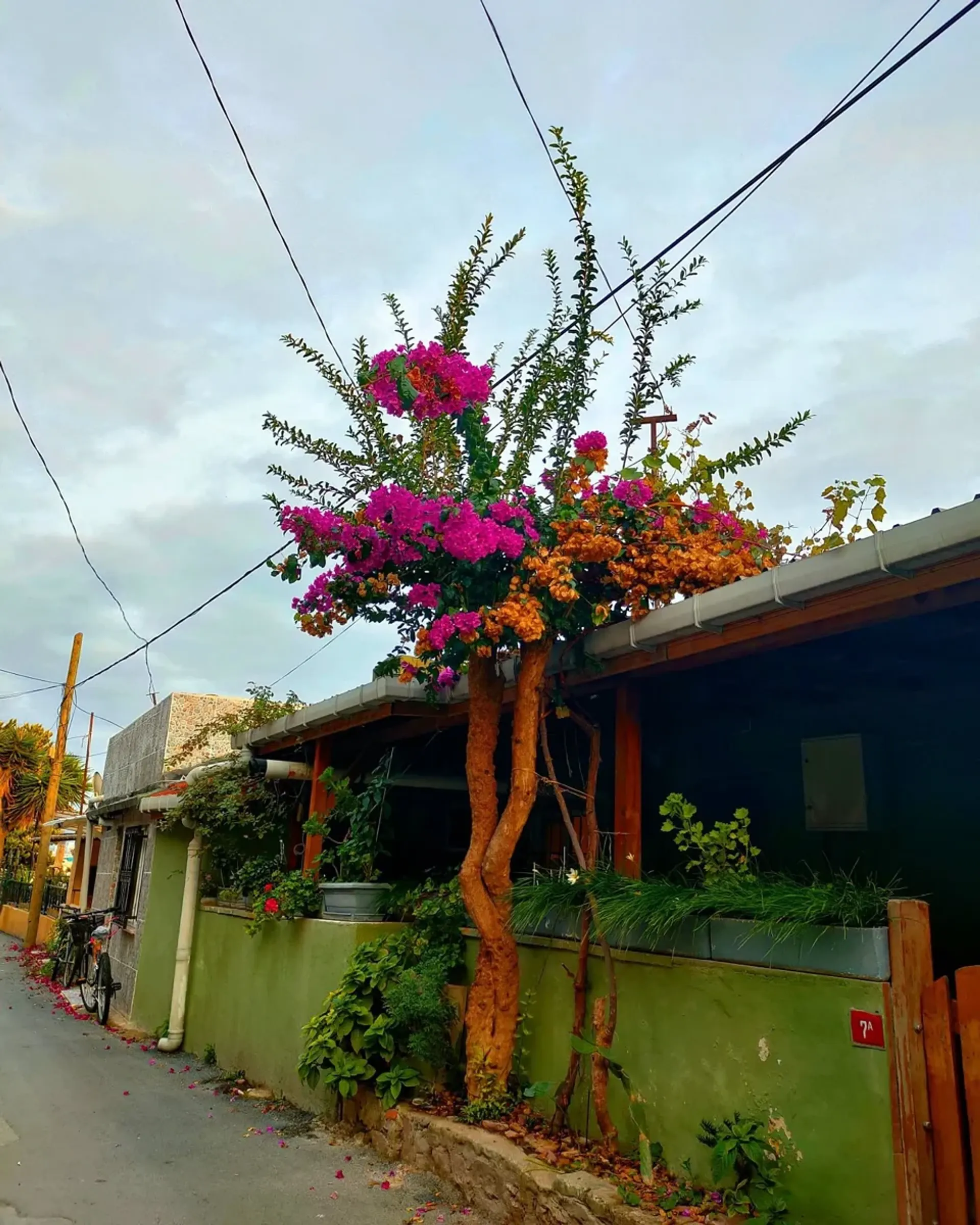 Visite à pied de Kinaliada Island avec audioguide