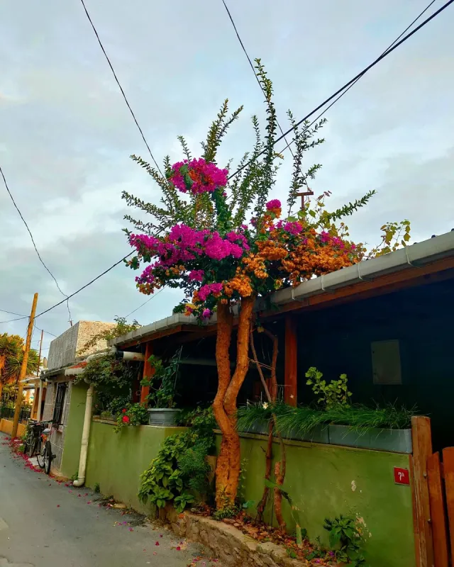 Visite à pied de Kinaliada Island avec audioguide