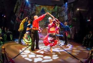 بلیط نمایش Rhythm of the Dance