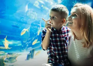 ورود بدون صف خرید بلیت به Emaar Aquarium and Underwater Zoo