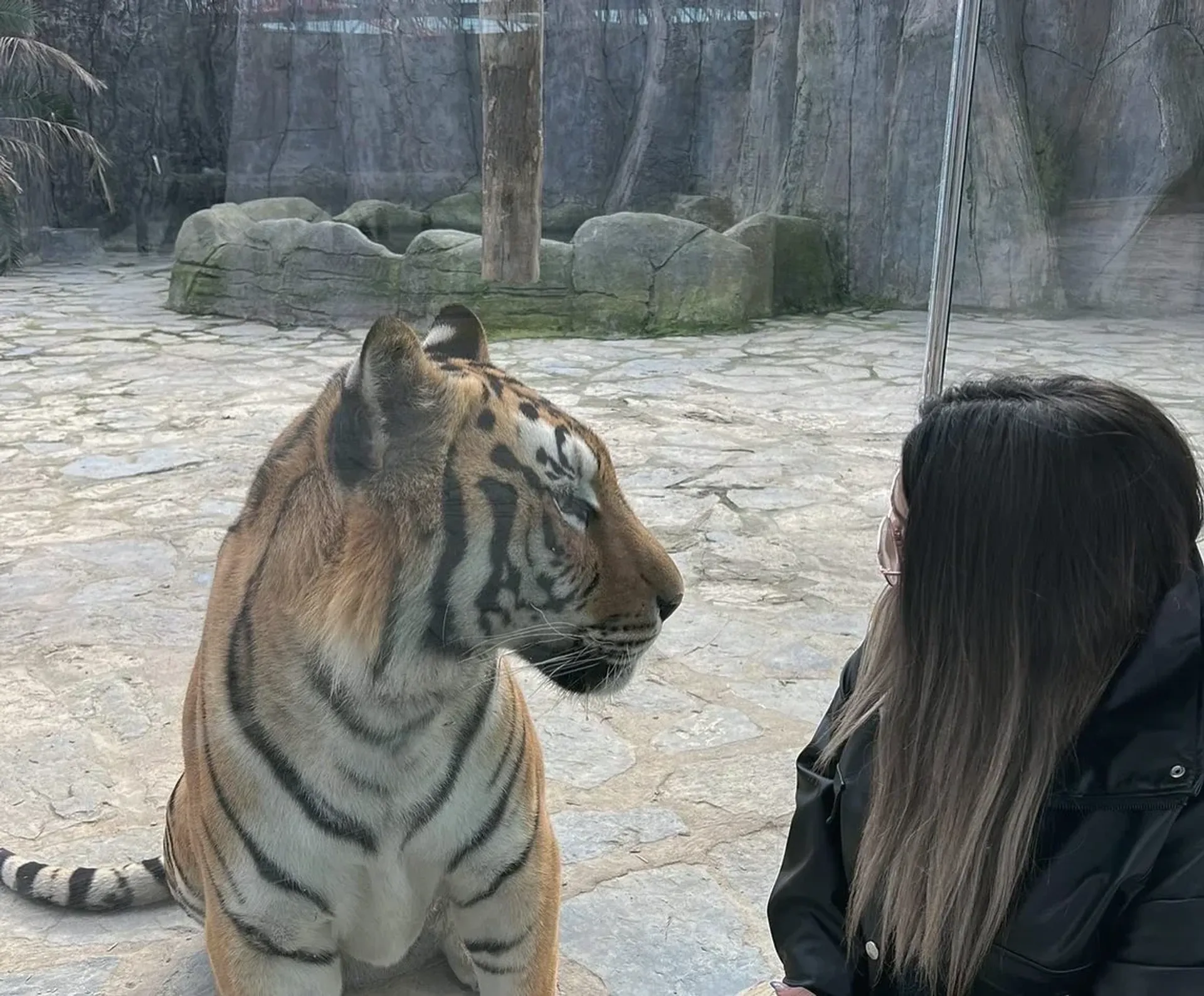 Lion Park Zoo प्रवेश