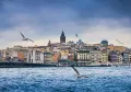 Croisière touristique Golden Horn & Bosphorus avec audioguide