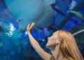 Emaar Aquarium and Underwater Zoo 免排队门票