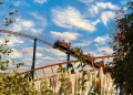 استنبول Vialand تھیم پارک انٹری ٹکٹ