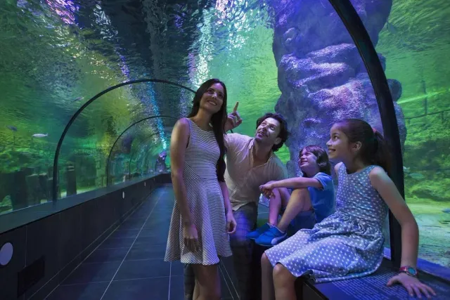 ViaSea Aquarium belépőjegy