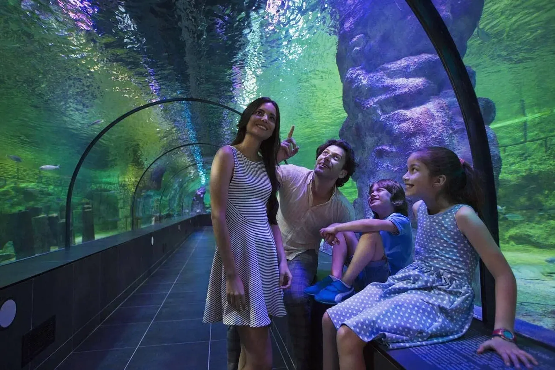 ViaSea Aquarium belépőjegy