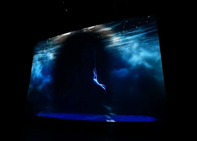 The Little Prince: An Adventure in Istanbul Live Show