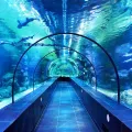 ViaSea Aquarium belépőjegy