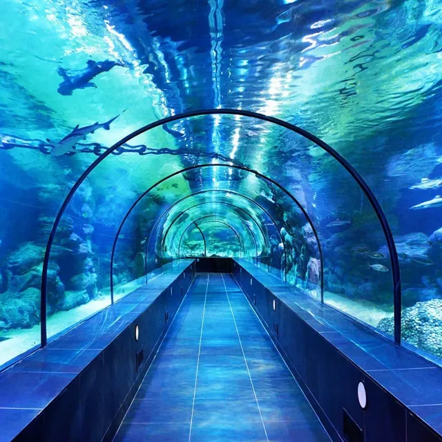 ViaSea Aquarium belépőjegy