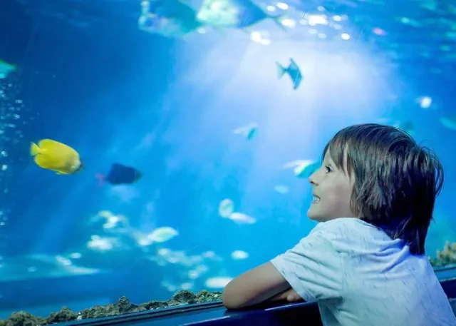 Emaar Aquarium and Underwater Zoo 免排队门票