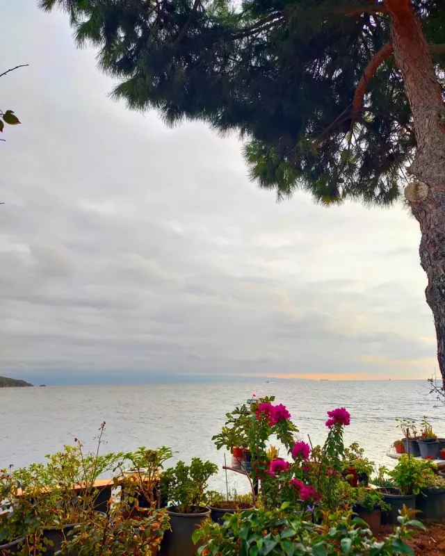 Visite à pied de Kinaliada Island avec audioguide