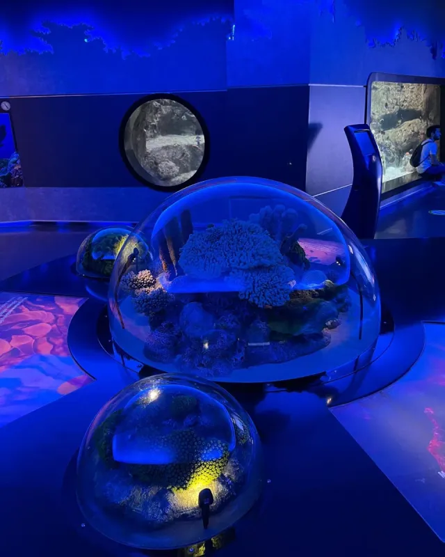 Billet d'entrée à l'Istanbul Aquarium