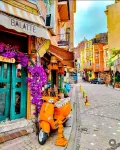 Visite à pied de Fener et Balat avec audioguide