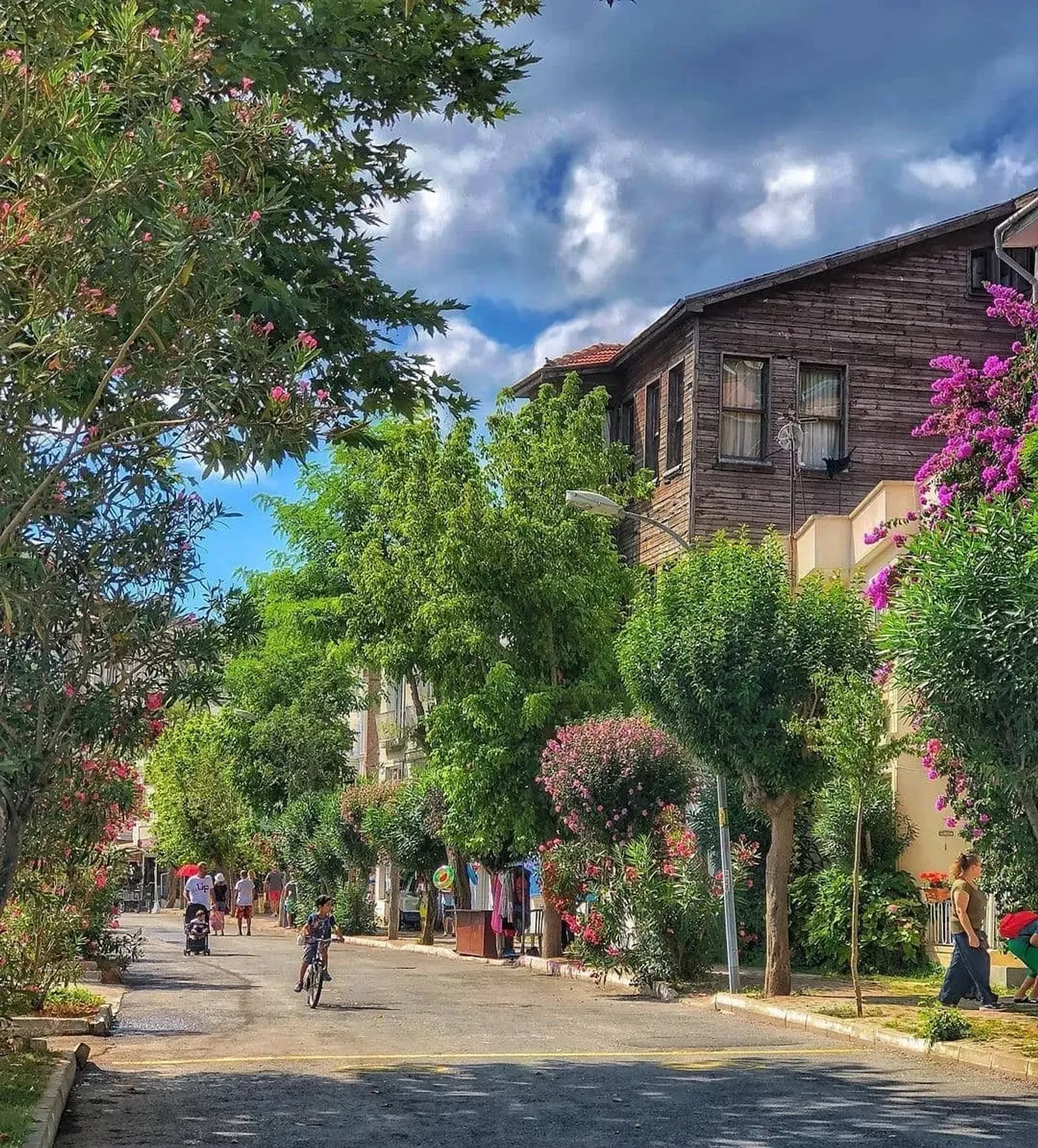 Excursion aux Princes’ Islands avec déjeuner