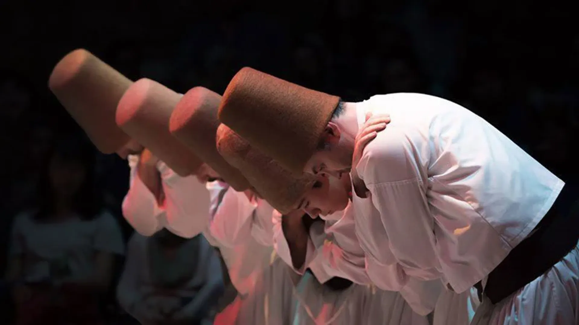 Whirling Dervishes Show Ticket