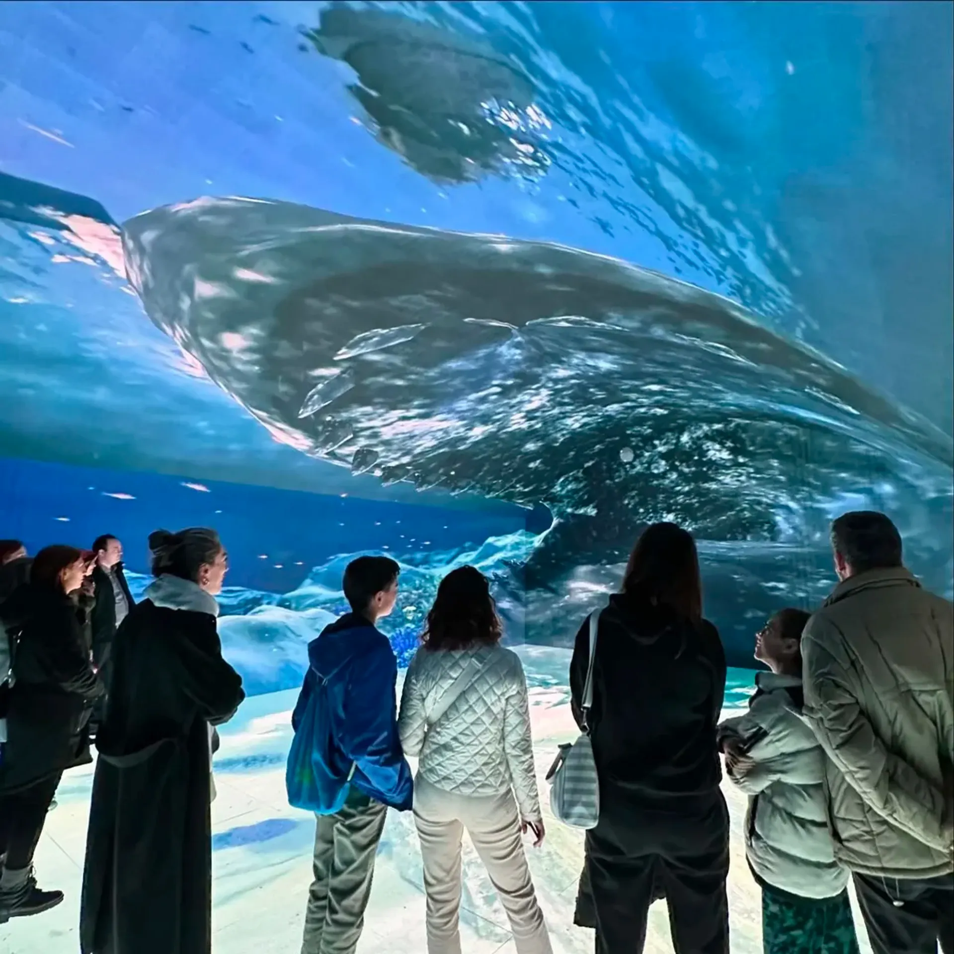 Entrée coupe-file au Digital Experience Museum