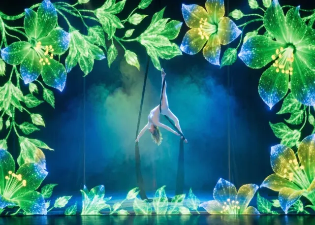 Echoes of Istanbul Aerial Acrobatics Show