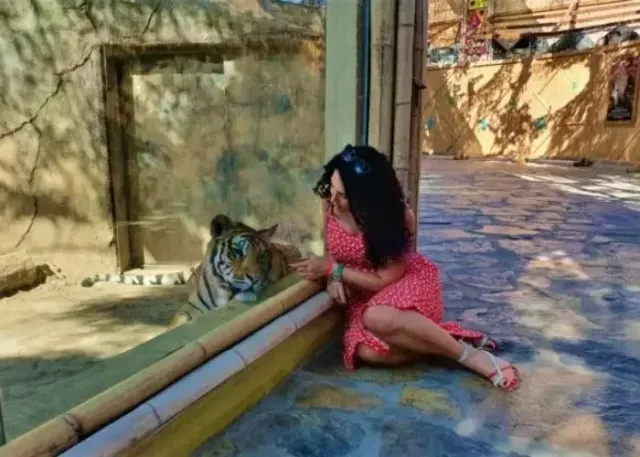 Lion Park Zoo प्रवेश