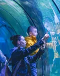 ViaSea Aquarium belépőjegy