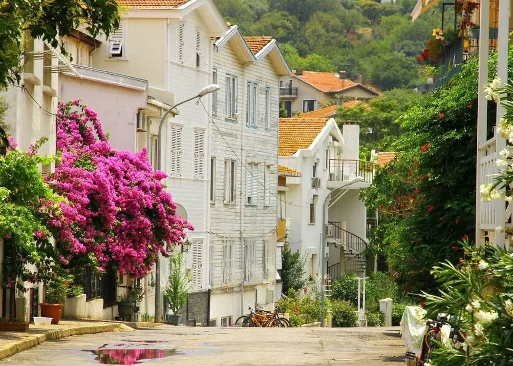 Buyukada Island Roundtrip Boat Ticket with Audio Guide