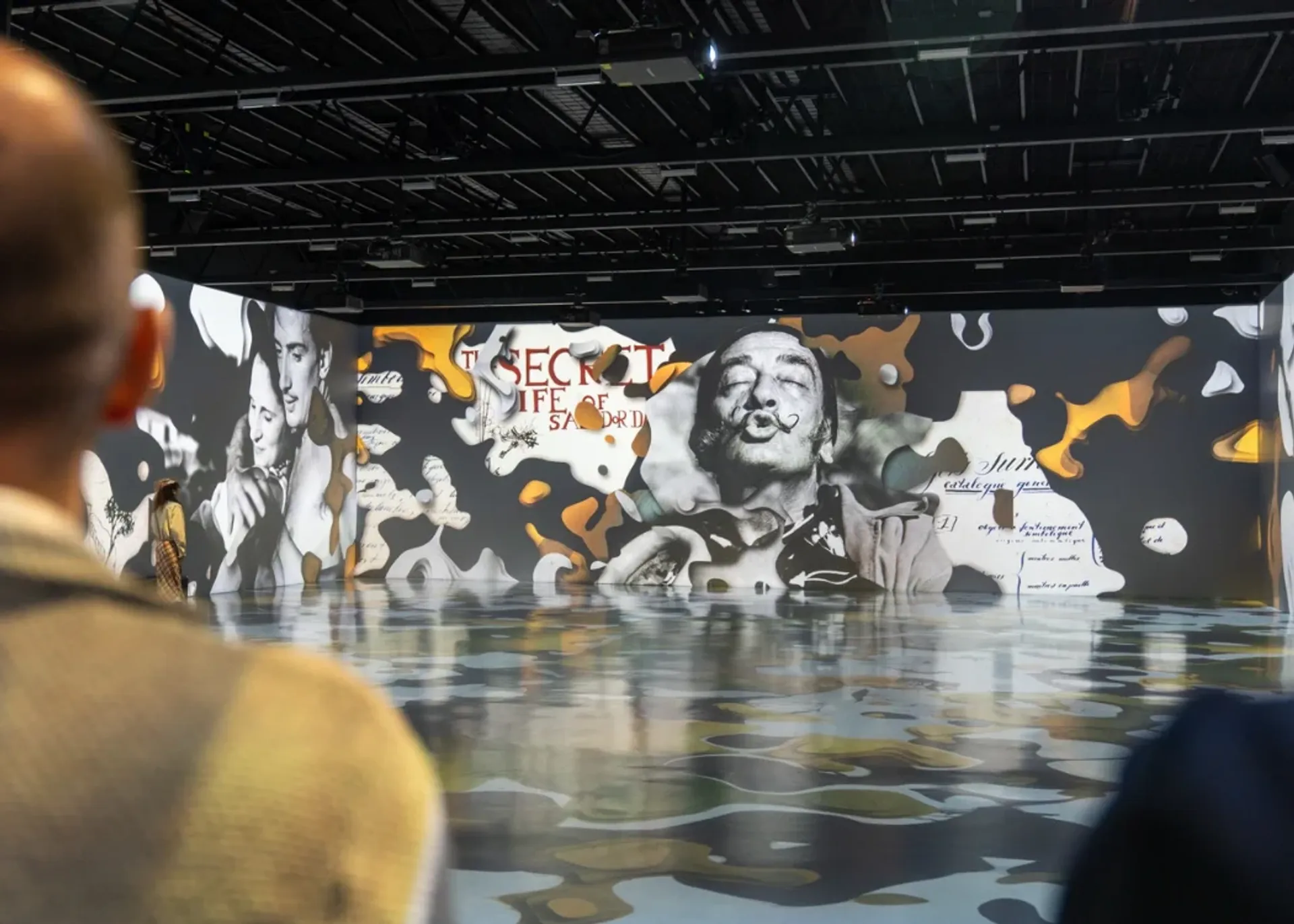 Digital Experience Museum Skip-the-Ticket-Line Entry