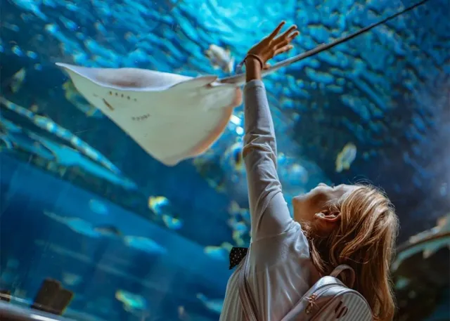 Emaar Aquarium and Underwater Zoo 免排队门票