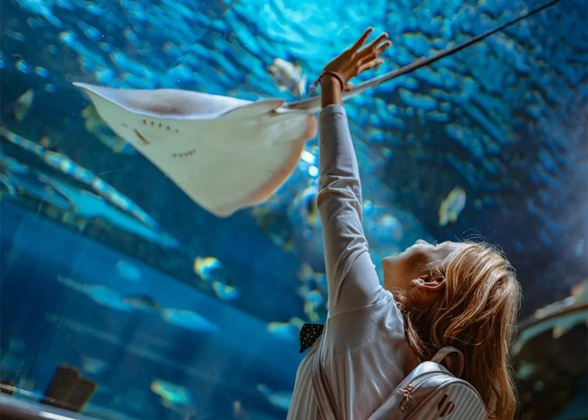 Emaar Aquarium and Underwater Zoo 免排队门票