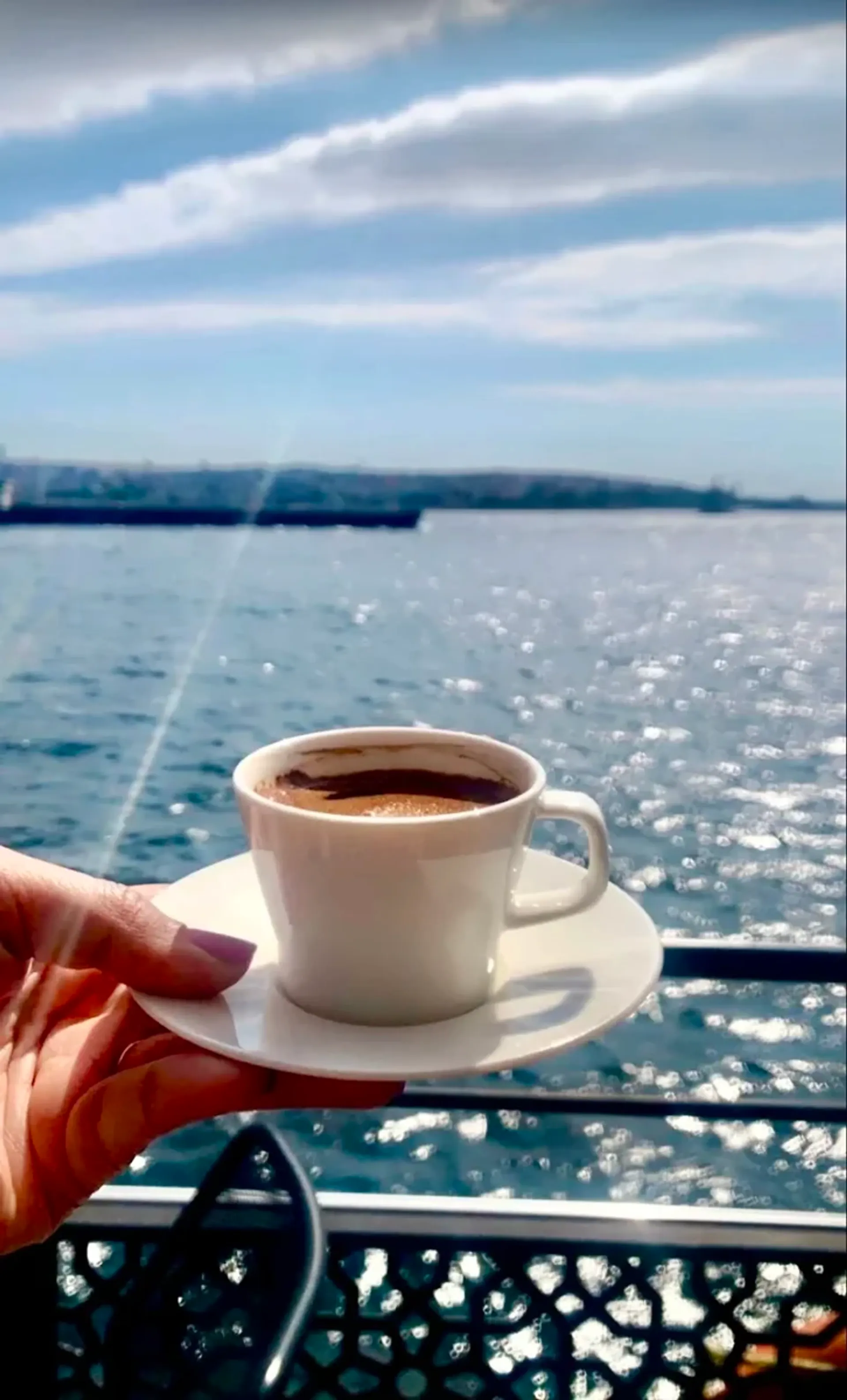 Le Vapeur Magique - Morning Turkish Breakfast Cruise