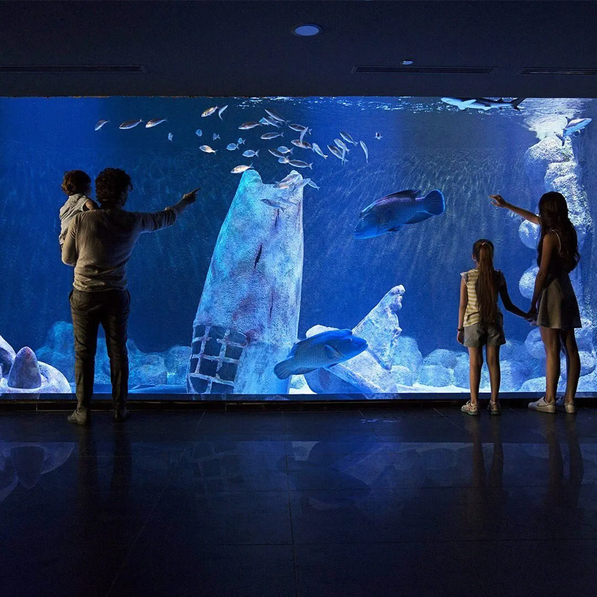 ViaSea Aquarium belépőjegy
