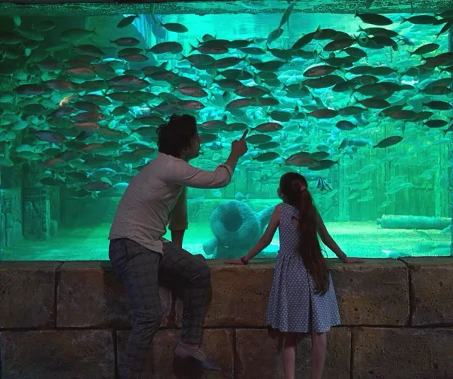 ViaSea Aquarium belépőjegy