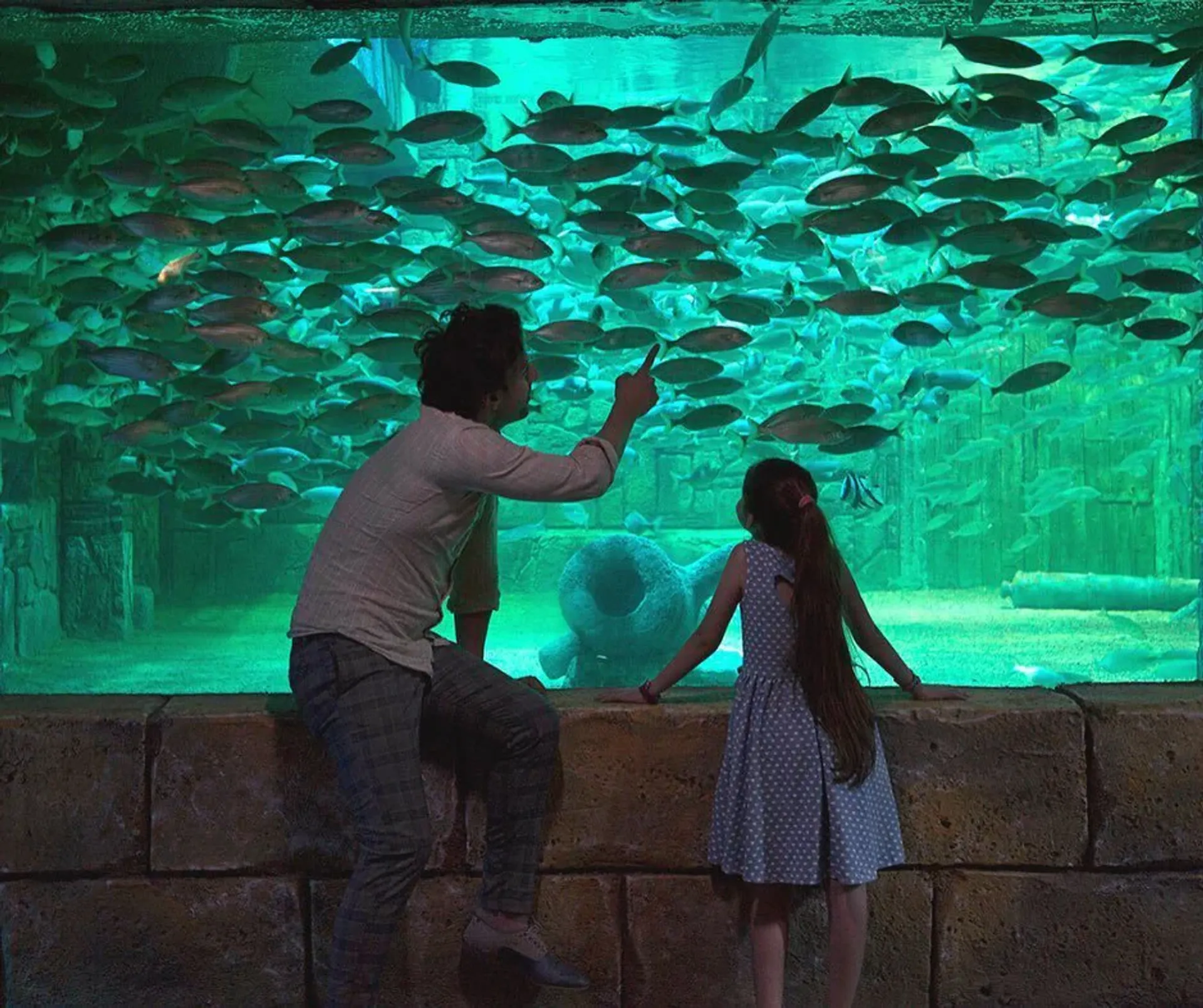 ViaSea Aquarium belépőjegy