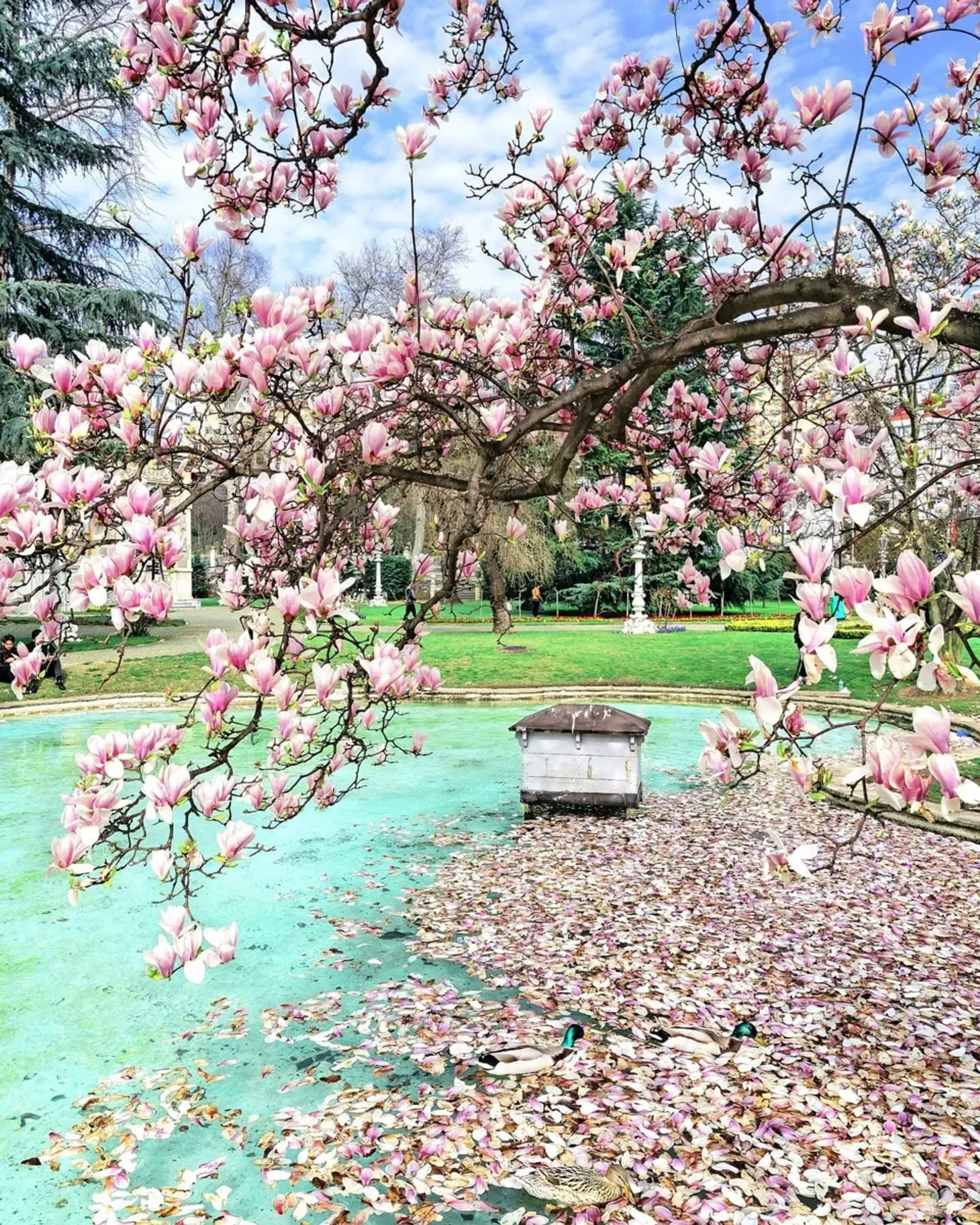 Ihlamur Pavilions : entrée coupe-file avec audioguide