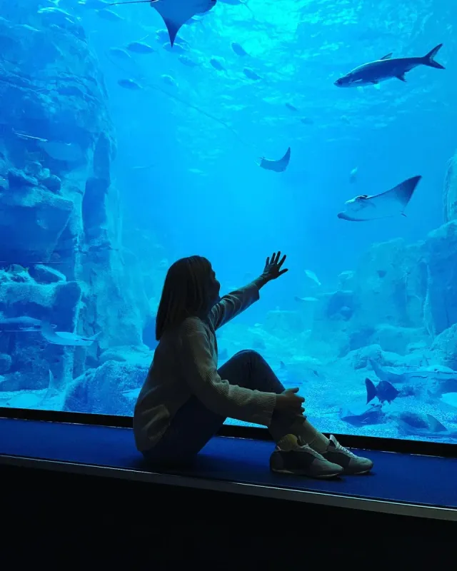 Billet d'entrée à l'Istanbul Aquarium
