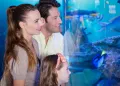 Emaar Aquarium and Underwater Zoo 免排队门票